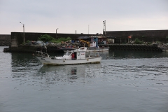 IMG_0443
