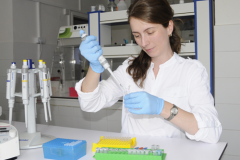 Samples preparation for PCR reaction (Dr. Eva Bazsalovicsová)