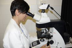 Microscopy and image processing (Dr. Marta Bombarová)
